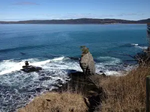 Bellevue Beach Campground