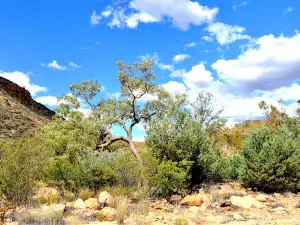 Ellery Creek Campground