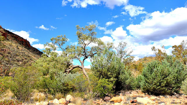 Ellery Creek Campground