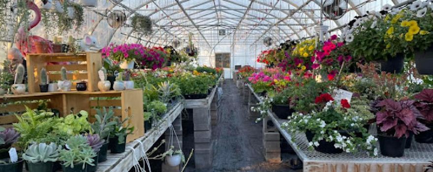 Skyline Gardens