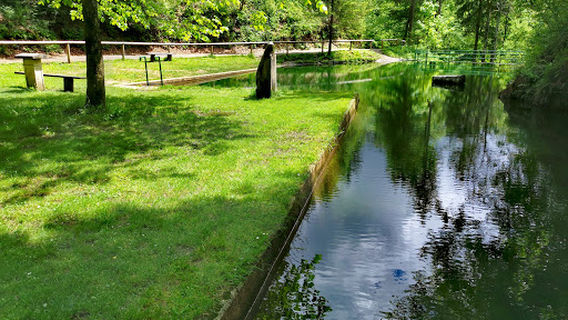 Vrhnika