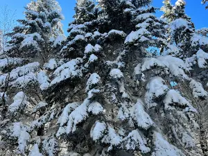 Uzana Rainbow Hill Park