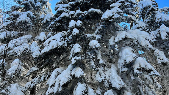 Uzana Rainbow Hill Park