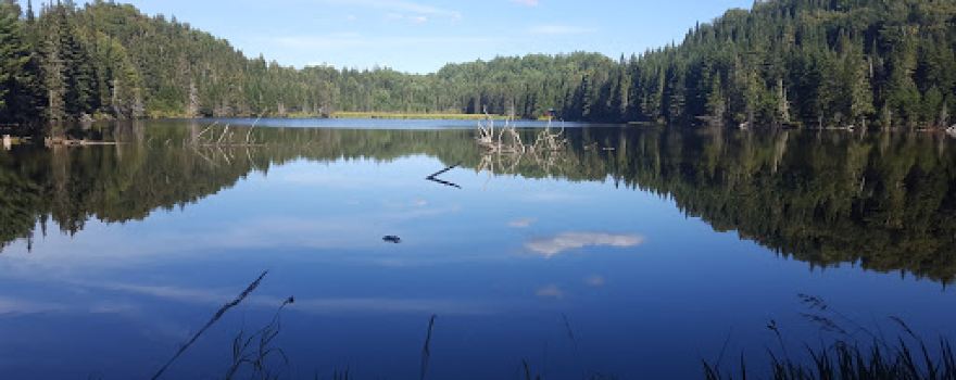 Sentier Un Lac Au Sommet