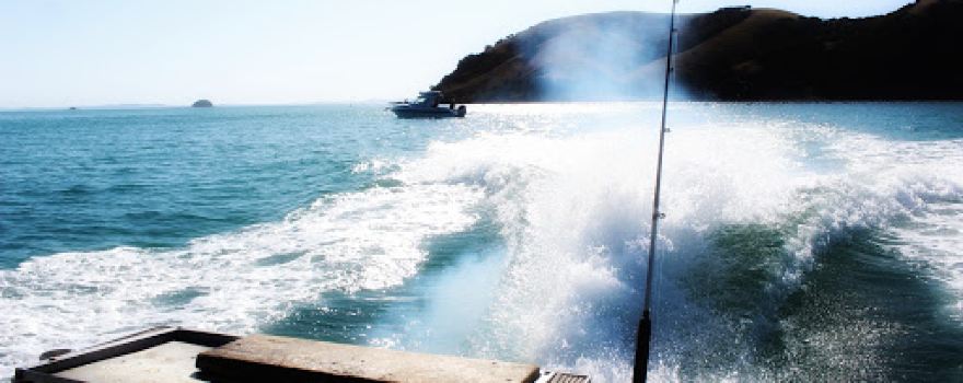 Coro Cowboy Fishing Charters