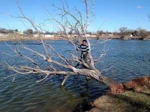 Towle Memorial Park