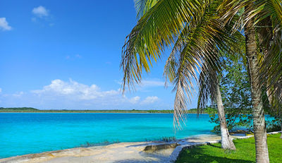 Bacalar Lagoon