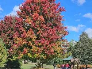 Province Park