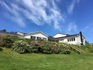 Brandøy mission and Congress