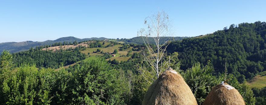La Micau