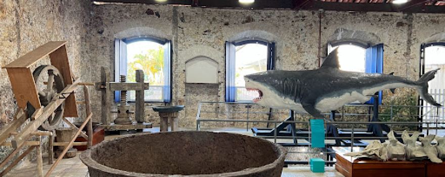 Municipal Museum of Cananea