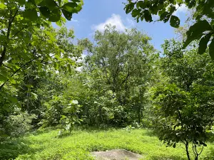 Kevdi Eco Campsite guide