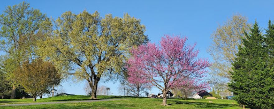 Fred Miller Park
