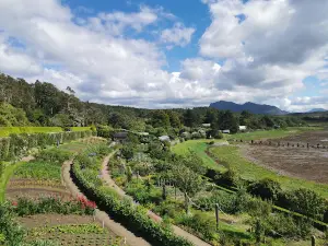 Inverewe Garden