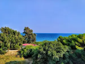 Mersin Yüzüncü Yıl Tabiat Parkı