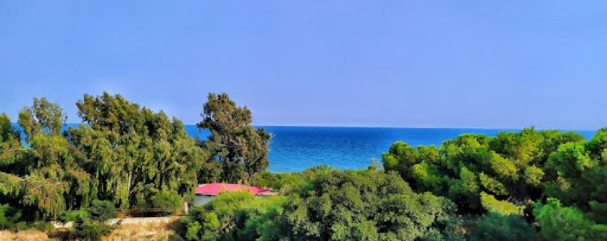 Mersin Yüzüncü Yıl Tabiat Parkı