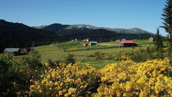 Kalınçam Mahallesi