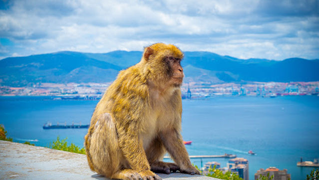 Military Heritage Centre