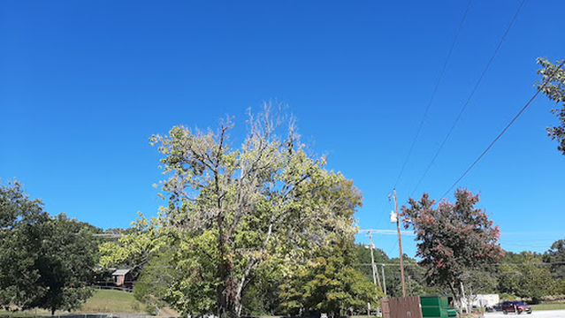 Raccoon Valley - Escapees RV Parks