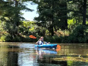 Pine View Campground