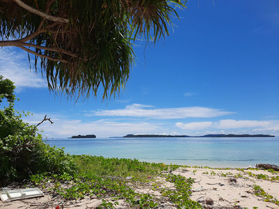 West Papua