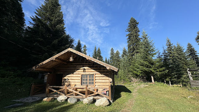 Papa's Qel/პაპას ქელი Banya+Chan