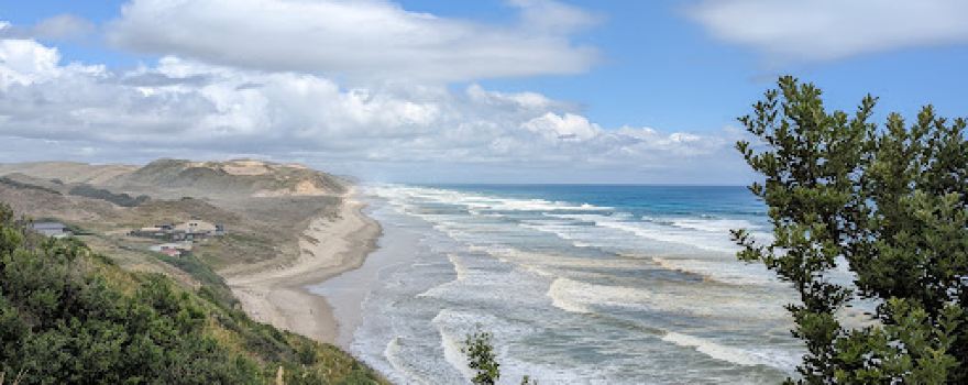 Maunganui Bluff Track Start