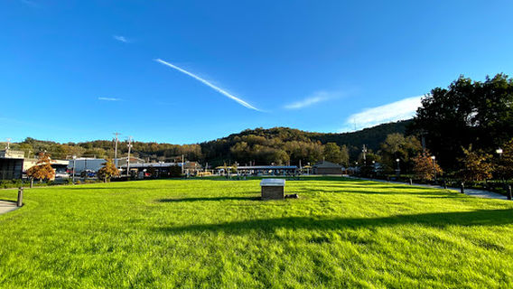 Central Park Livingston