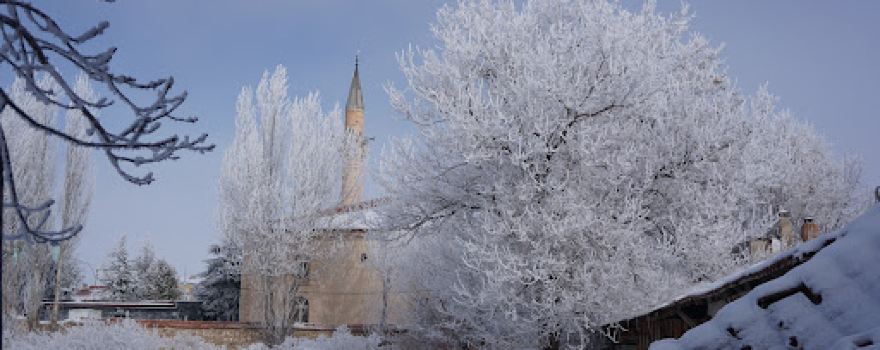 Aslanapa Çarşı Cami