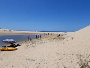 Rietrivier