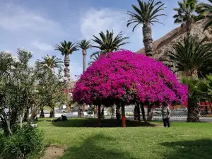 Vicuña Mackenna Square