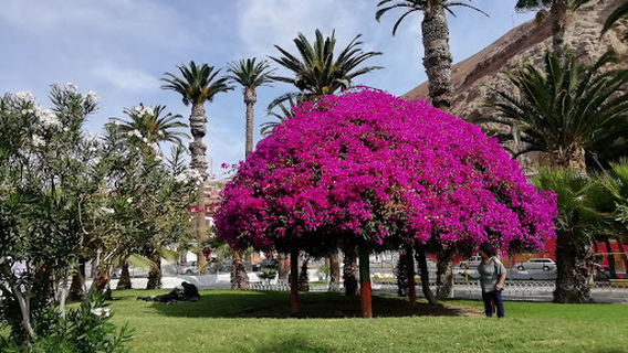 Vicuña Mackenna Square