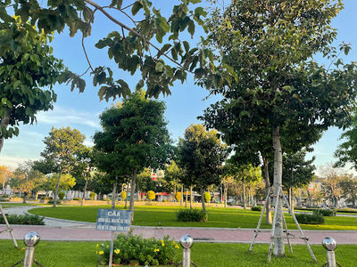 Võ Văn Kiệt Park