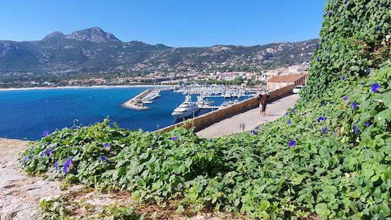 Plage de Calvi