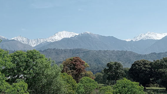 Palampur Hill Station
