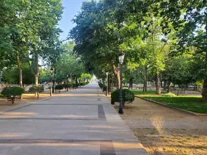 Paz Park