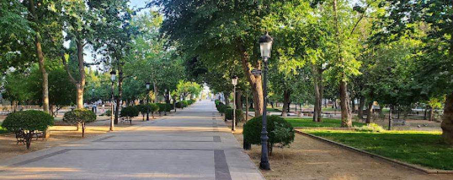 Paz Park