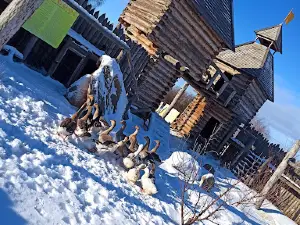 Музей каменных изваяний Россо-Ариев