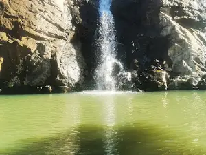 Jardim zoológico