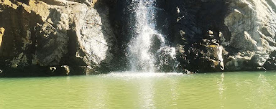 Jardim zoológico