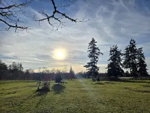Fort Steilacoom Park