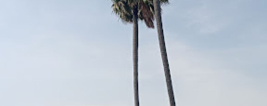 Bautha jhala