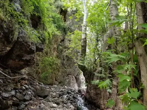 Parki Magmurud Sharshara Dar Daruni Kukh