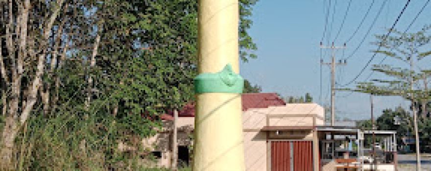 Tugu Elang Pulai