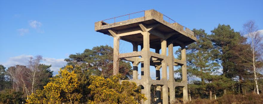 Holton Heath Nature Reserve