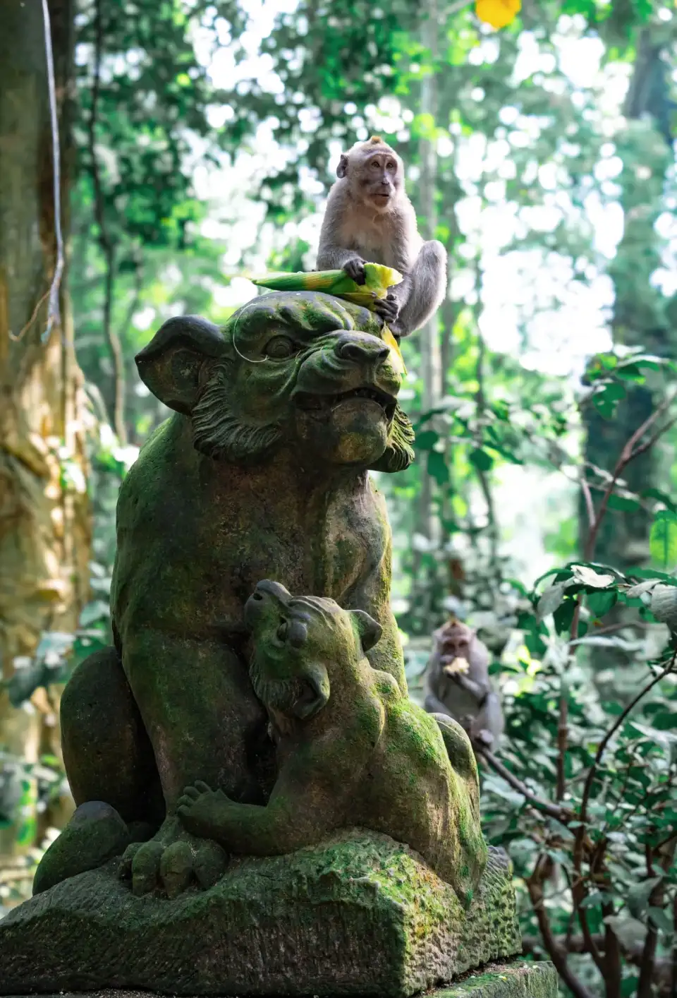2_Sacred Monkey Forest Sanctuary