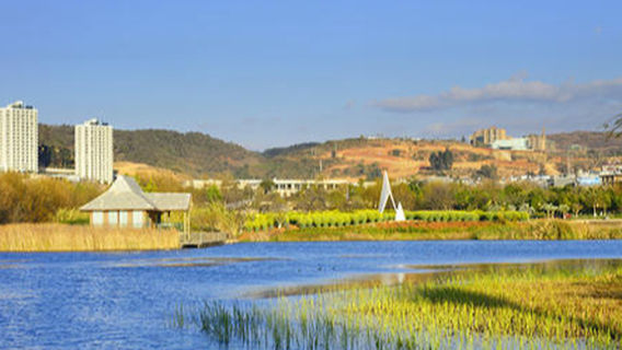 Moon Bay Wetland Park