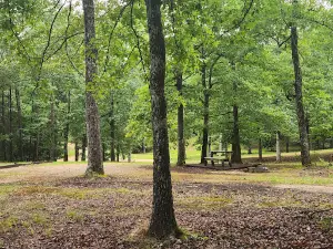 Togetherness Works RV Park