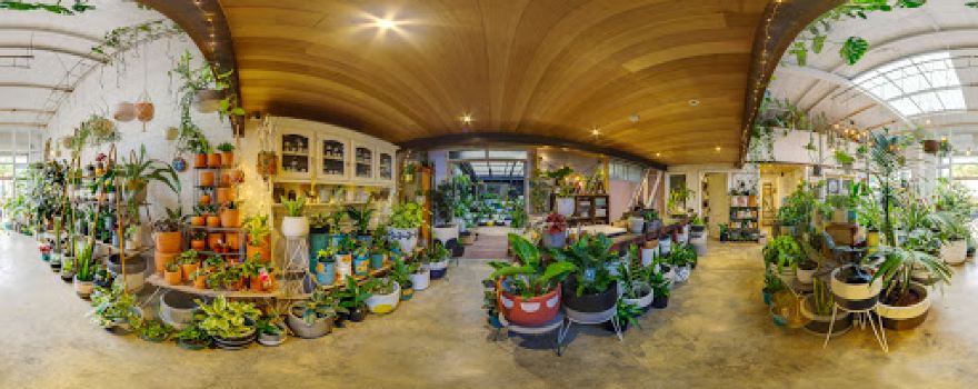 Little Leaf Co