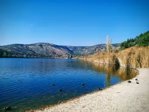 METU Forest